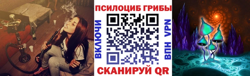Галлюциногенные грибы Psilocybine cubensis Нефтекумск