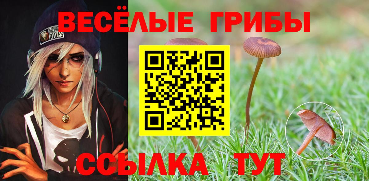 Галлюциногенные грибы GOLDEN TEACHER Нефтекумск