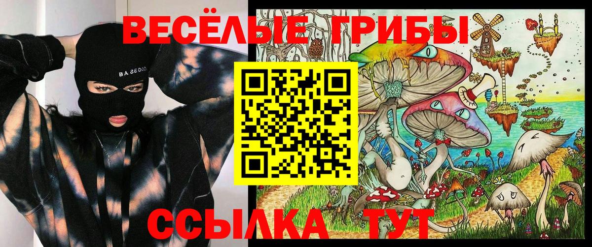 Галлюциногенные грибы MAGIC MUSHROOMS  Галлюциногенные грибы Magic Shrooms  Нефтекумск  Вход с VPN 